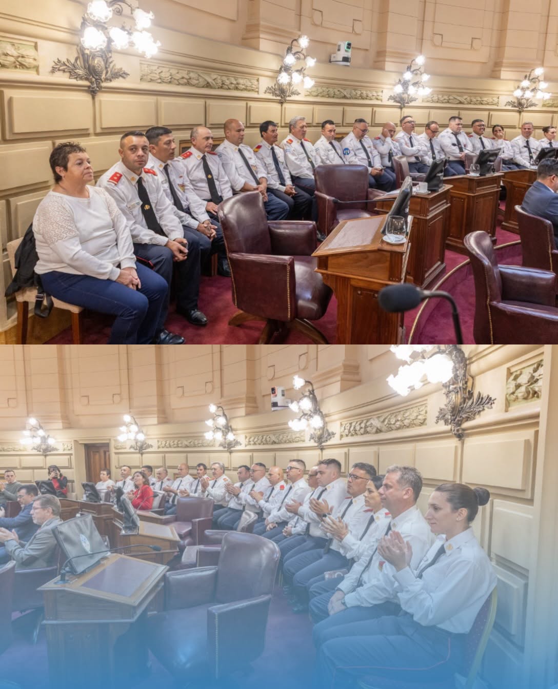 bomberos reconocidos en senado 231026