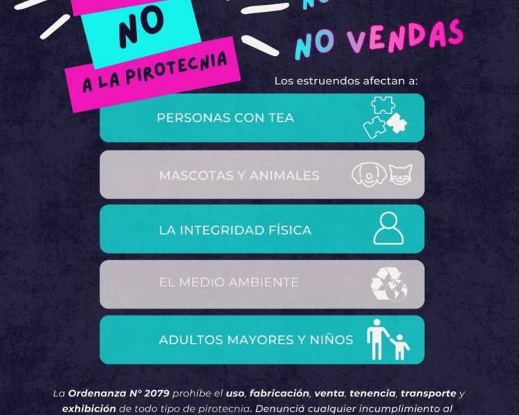 DECILE NO A LA PIROTECNIA 