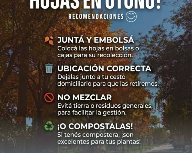 ¿QUÉ HACEMOS CON LAS HOJAS SECAS?