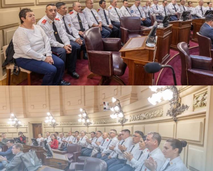 BOMBEROS DEL DEPARTAMENTO SAN MARTÍN FUERON RECONOCIDOS EN EL SENADO